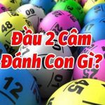lô đầu 2 câm đánh con gì