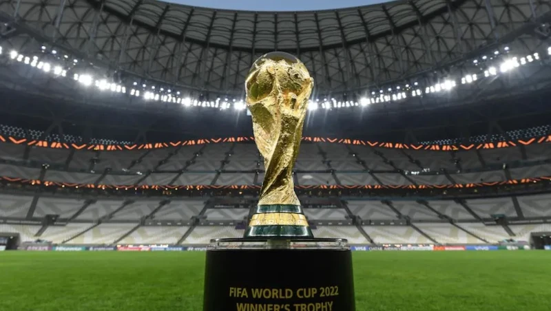The FIFA World Cup - Giải đấu bóng đá hàng đầu thế giới